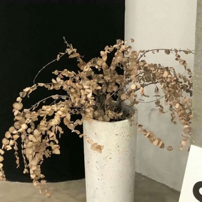 兽设节日场景设计福瑞群